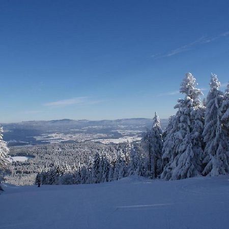 Gasthof Alte Post Bischofsmais Exteriör bild