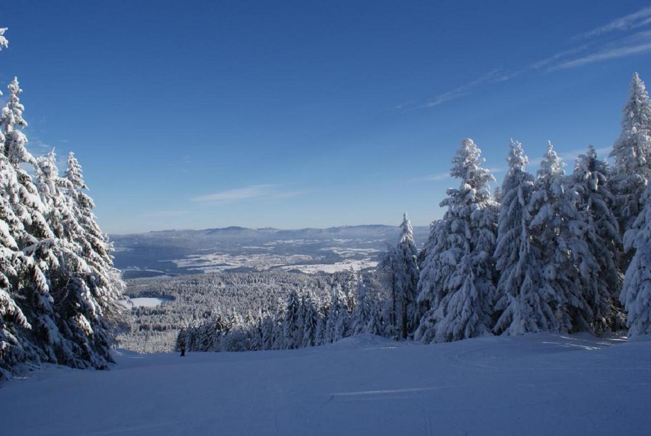 Gasthof Alte Post Bischofsmais Exteriör bild